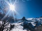 La photo du jour : au soleil éclatant de Ghisoni 