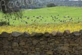 Le Domaine de Murtoli lance son fonds de dotation pour l’environnement 