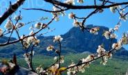  La météo du mardi 11 avril 2023 en Corse