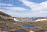 La photo du jour : les pozzine du plateau d'Ese au printemps 