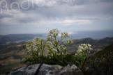 La météo du jeudi 11 mai 2023 en Corse