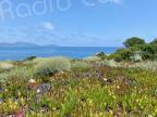 La météo du vendredi 26 mai 2023 en Corse 