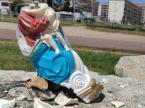 Statue de Notre-Dame de Lavasina décapitée à Ajaccio : "un acte intolérable" pour l'évêque de Corse