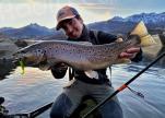 Le goujon asiatique menace les truites du lac de Calacuccia 