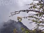 La météo du vendredi 9 juin 2023 en Corse