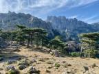 La météo du vendredi 28 juillet 2023 en Corse