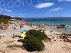 Mer Méditerranée : les eaux des plages corses ont perdu jusqu’à 5 degrés 