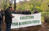 Assises de la forêt à Vizzavona : Le "culletivu per a furesta corsa" critique le manque d'ambition de la CdC