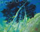 Bastia : Les peintures de Jean-Marie Zacchi illuminent les locaux de Vision Futura 