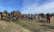 UNSS : 500 participants au cross départemental de Haute-Corse 