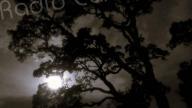 La météo du jour en Corse