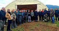 Des agnelles en pension au Lycée agricole de Borgo