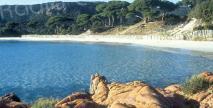 Palombaggia dans le top 100 des plus belles plages du monde