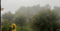 La météo du jour en Corse 