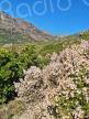 La météo du jour en Corse 