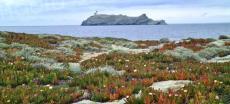 La photo du jour : la Giraglia tout simplement