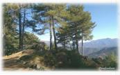 La météo du jour en Corse 