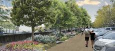 Bastia : Quels arbres planter pour remplacer les palmiers de la place Saint-Nicolas ? C'est à vous de choisir 