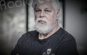 Arrestation de Paul Watson : En Corse, Global Earth Keeper se mobilise pour libérer le défenseur des baleines 