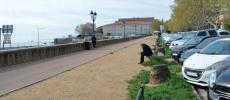 Bastia : Quels arbres ont été choisis pour remplacer les palmiers de la place Saint-Nicolas ? 