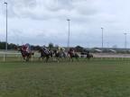 14 septembre Biguglia accueille le 1er Festival du Cheval ce week-end : un événement équestre pour petits et grands 