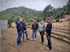 Coordination rurale Corsica et Jeunes agriculteurs : une alliance pour la présidence de la Chambre d’agriculture régionale 