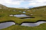 Loto de la biodiversité : un projet retenu en Corse