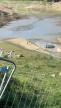 Canale-di-Verde : des centaines de poissons morts ou agonisant au barrage de Peri 