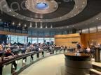 En Corse, un front commun pour lutter contre l’invasion du crabe bleu 